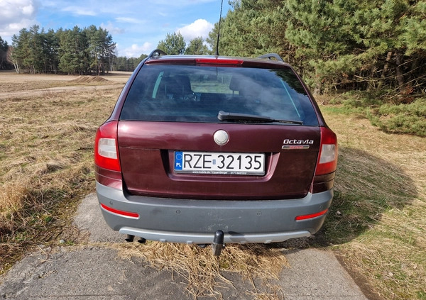 Skoda Octavia cena 25300 przebieg: 316550, rok produkcji 2009 z Siedliszcze małe 121